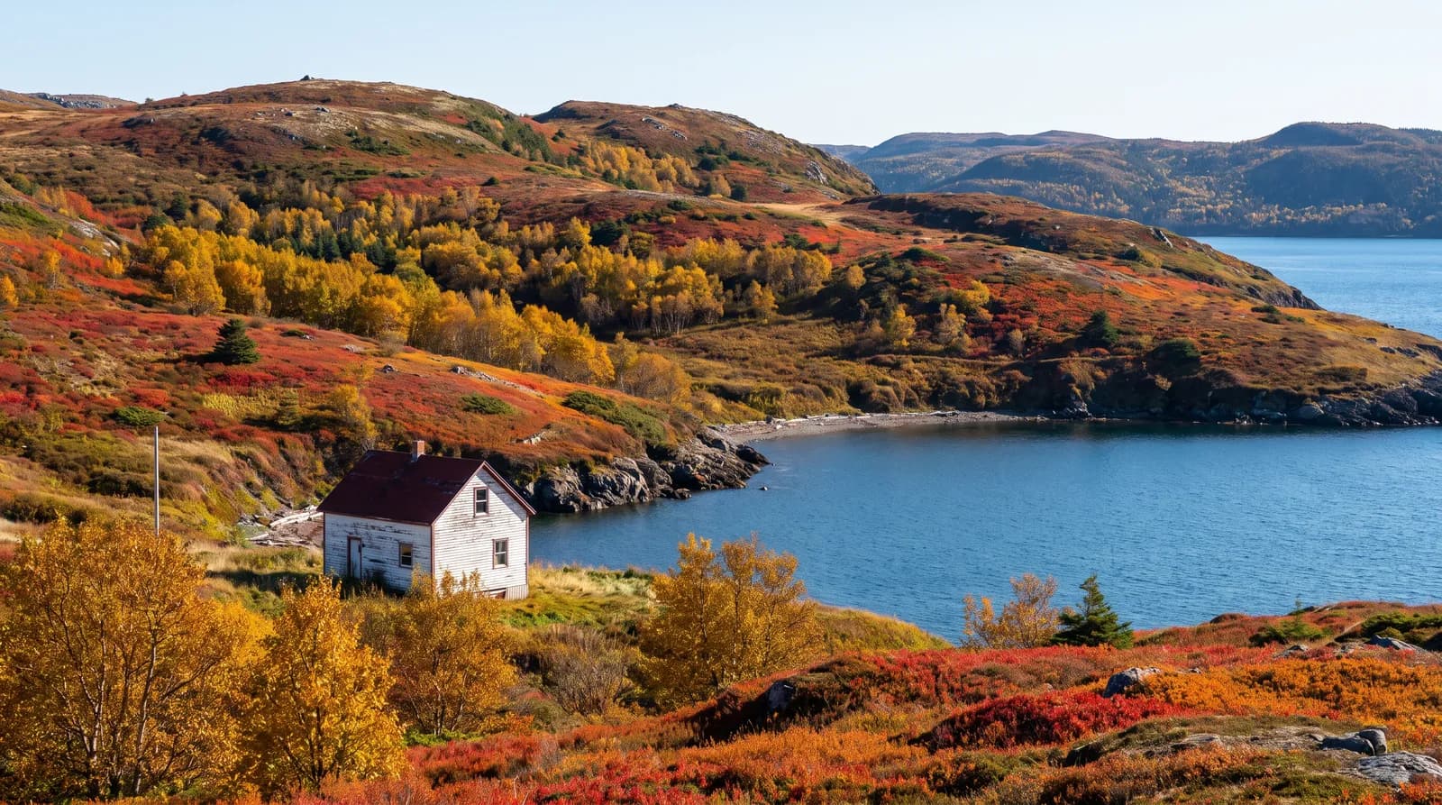 Newfoundland coastal hills in fall colours above a calm bay in late September